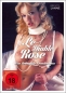 Preview: Le Diable Rose - Das liebestolle Freudenhaus