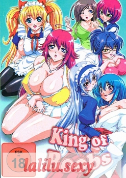 King of Boobs - FSK 18 - Anime Manga DVD -